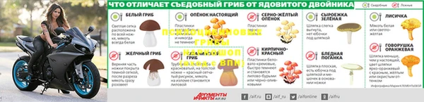 spice Зеленокумск