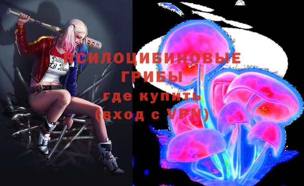 герыч Зерноград