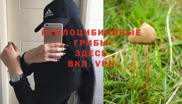 spice Зеленокумск