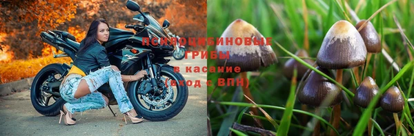 spice Зеленокумск