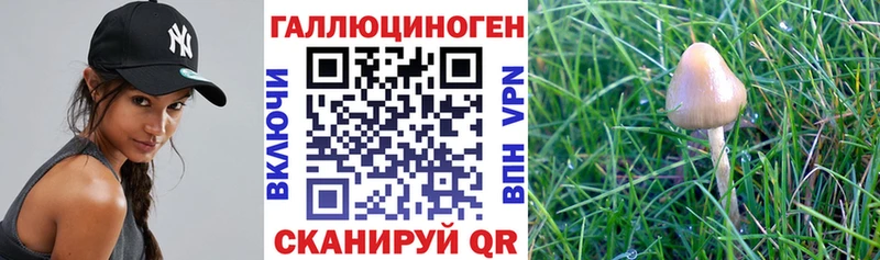 Псилоцибиновые грибы мицелий  Междуреченск 